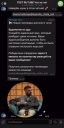 Сладкие картины Эрмитажа и розовые очки: подборка активаций
